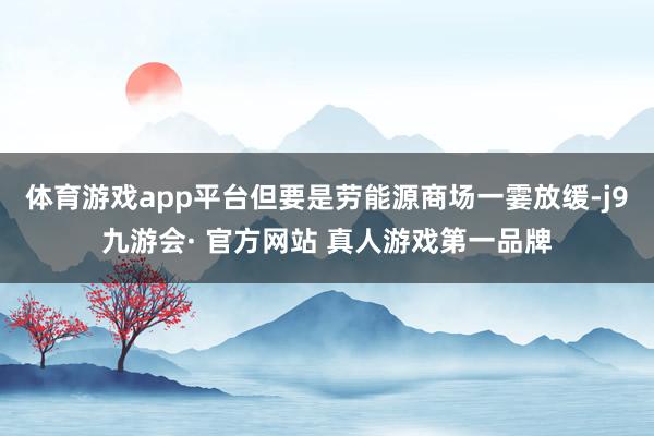 体育游戏app平台但要是劳能源商场一霎放缓-j9九游会· 官方网站 真人游戏第一品牌